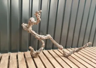 Raíz/tronco Decoración acuario OFERTA SOLO HOY!