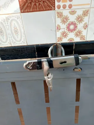 Puerta de calle metálica con diseño