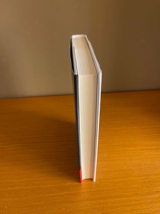 Mil besos prohibidos