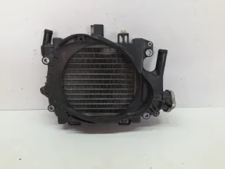 Radiador Agua Honda PCX 125 (2010-2014)