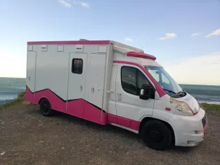 FIAT Ducato 2011 Chasis Cajón 3.0 160 C.V