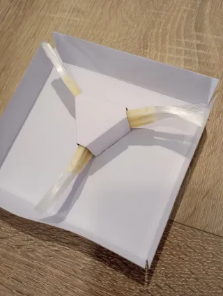 Pack 3 Cepillos Robot Roomba