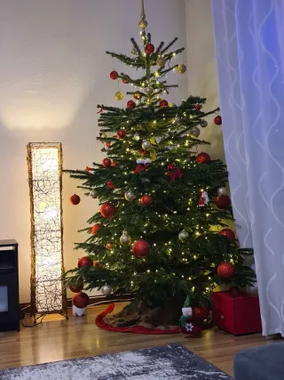 Adornos Navidad - Bolas Rojas y Doradas