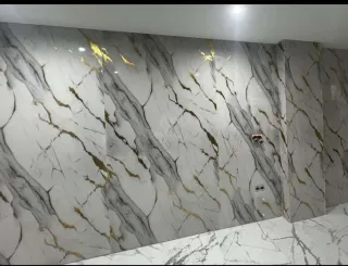 Profesional de pintura