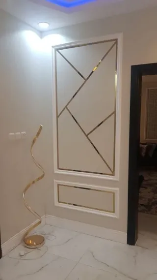 Profesional de pintura