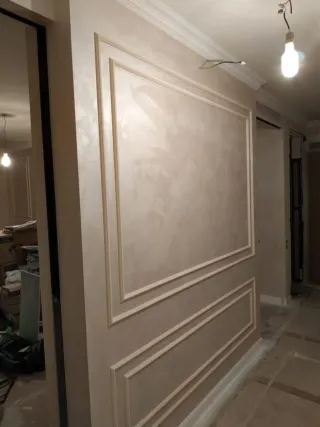 Profesional de pintura