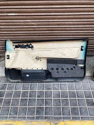 Paneles Puerta Coche Negro