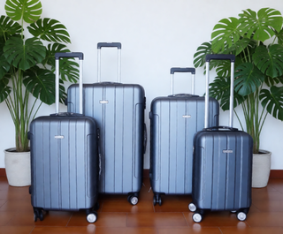 Set 4 Maletas Rígidas Gris