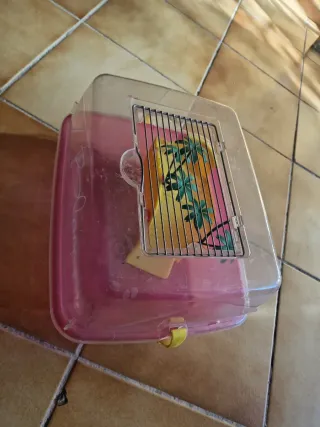 Tortuguera 2-3 años uso