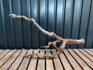 Raíz/tronco Decoración acuario OFERTA SOLO HOY!