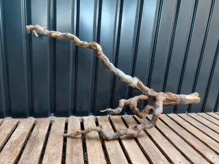 Raíz/tronco Decoración acuario OFERTA SOLO HOY!