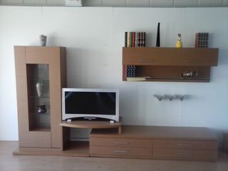 Mueble de salón chapa roble