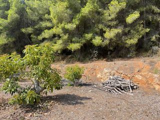 Terreno en venta en Callosa d´En Sarrià