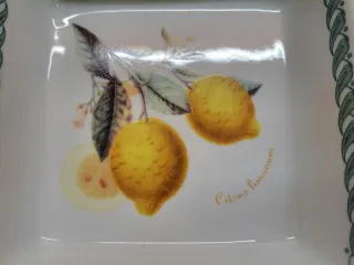 Terrina porcellana Tognana con cestino di vimini