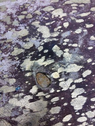 Alfombra Vaca Lavado Ácido Oscura