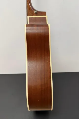 Guitarra Acústica Parkwood