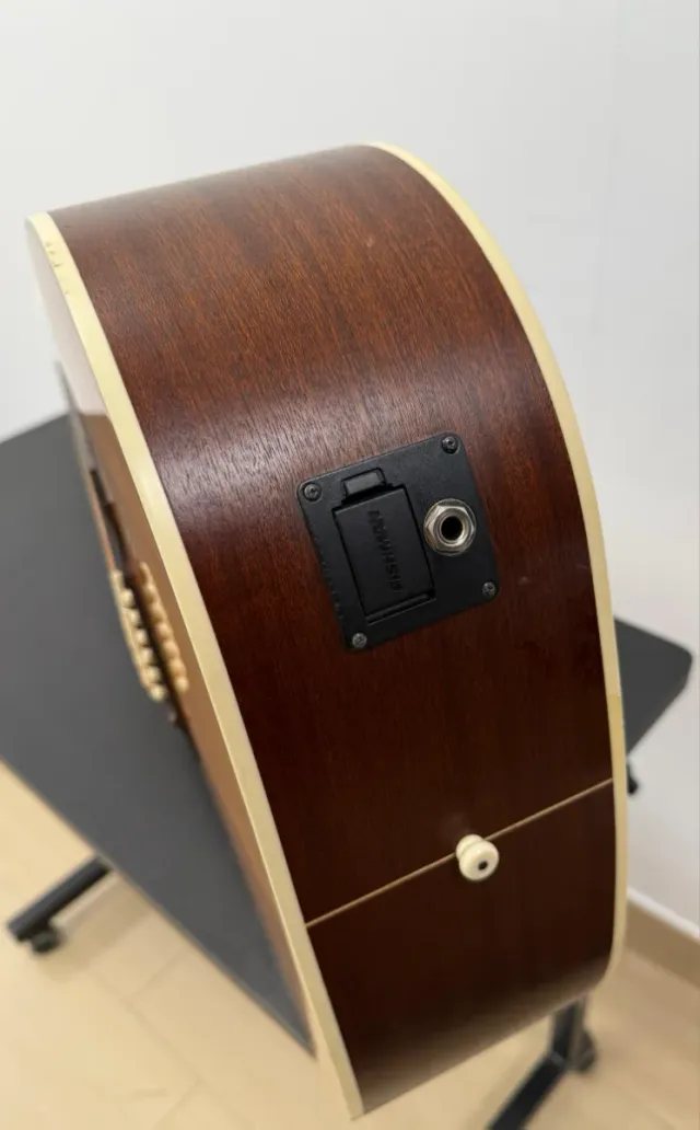 Guitarra Acústica amplificada