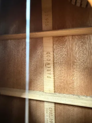 Guitarra Acústica Parkwood