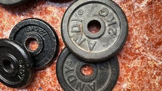 Lote Mancuernas y Discos de Pesas variado