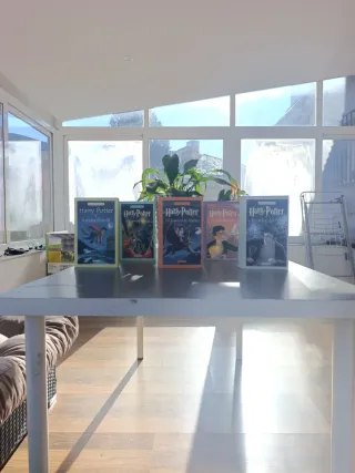 Saga de Harry Potter cinco libros