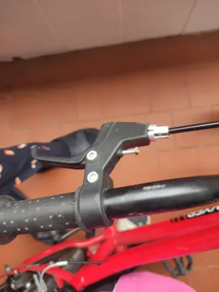 Bicicleta Infantil Sawyer 16"