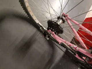 Bicicleta Niña BH Oregón Rosa