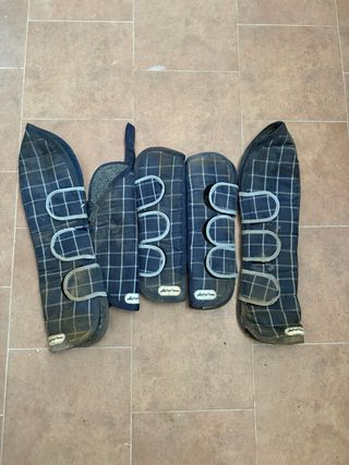 Protectores de transporte Equitheme Poni