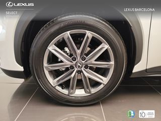 Lexus LBX ELEGANT PLUS 2025 REF 3162