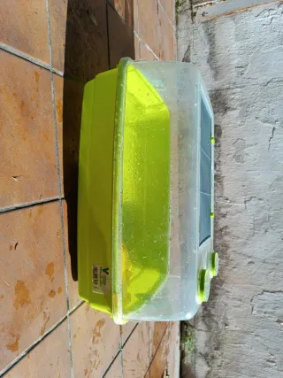 Acuario Tortuga Transparente y Verde