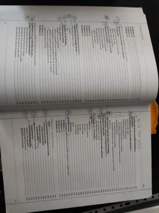 Ingeniería del transporte (GRADO) (Spanish Edit...