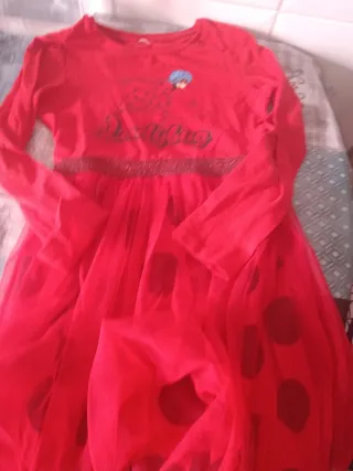 Vestido niña Ladybug Talla 5/6