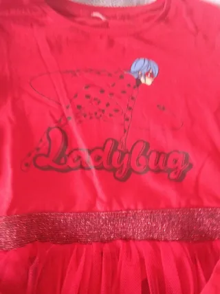 Vestido niña Ladybug Talla 5/6