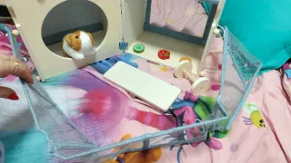 Casa cobaya madera juguete