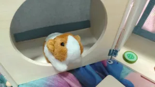 Casa cobaya madera juguete