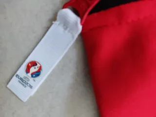 Felpa Ufficiale Belgio Euro 2016