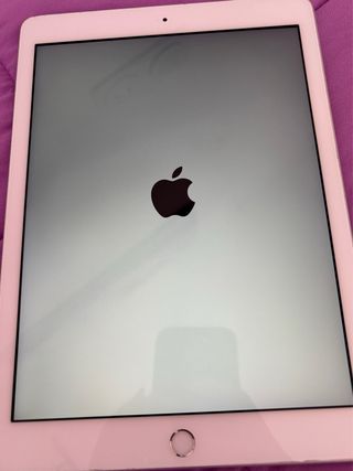 Apple iPad 6ª Generazione Grigio