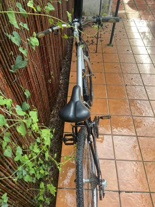 Bicicleta Orbea X Sport