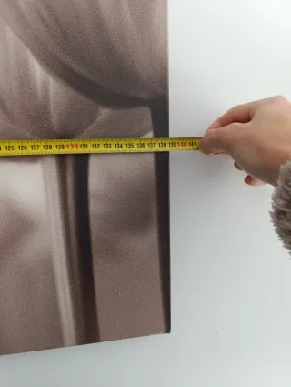 Cuadro de tulipanes beige y blanco