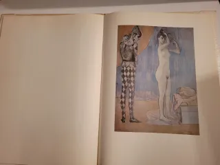 Picasso
