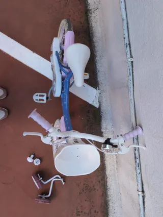 Bicicleta Frozen con ruedines