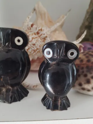 Pack 2 Búhos cuerno de Ebano negro