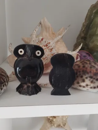 Pack 2 Búhos cuerno de Ebano negro