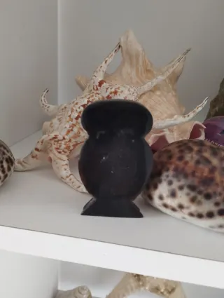 Pack 2 Búhos cuerno de Ebano negro