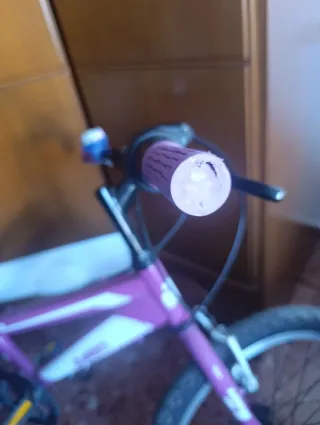 Bicicleta 20 pulgadas Jlwenti Morada