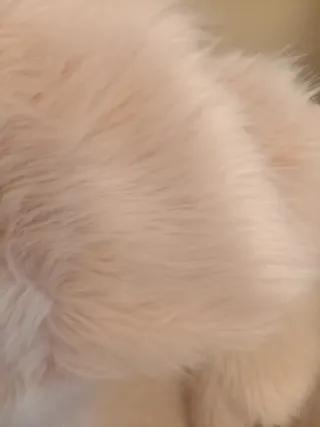 Abrigo pelo rosa talla M