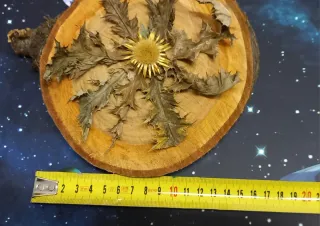 Eguzkilore artesanal sobre rodaja de árbol