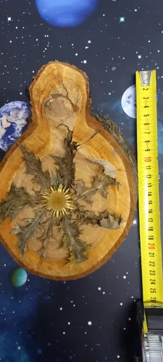 Eguzkilore artesanal sobre rodaja de árbol