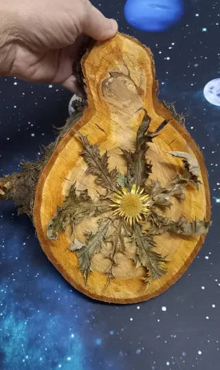 Eguzkilore artesanal sobre rodaja de árbol