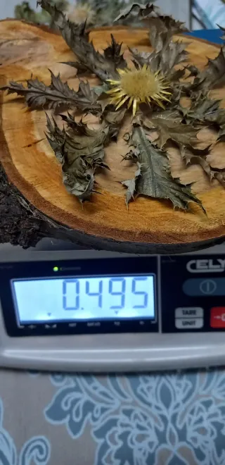 Eguzkilore artesanal sobre rodaja de árbol