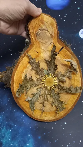 Eguzkilore artesanal sobre rodaja de árbol